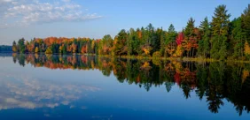 Maggie Lakes Owners Association assists owners and prospective owners, and also improves and maintains forest, lakes, and streams within its boundaries.