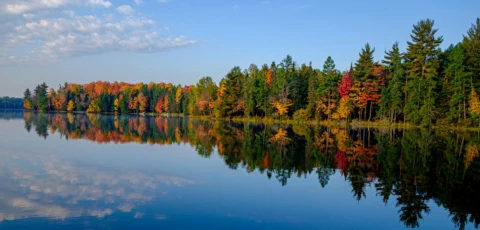 Maggie Lakes Owners Association assists owners and prospective owners, and also improves and maintains forest, lakes, and streams within its boundaries.
